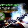 Điếu Cày Siêu Thực®: Thượng Phương Bảo Điếu®