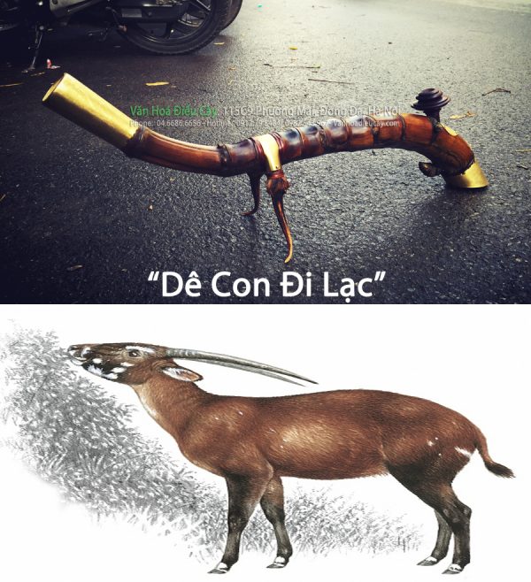 Dê Con Đi Lạc